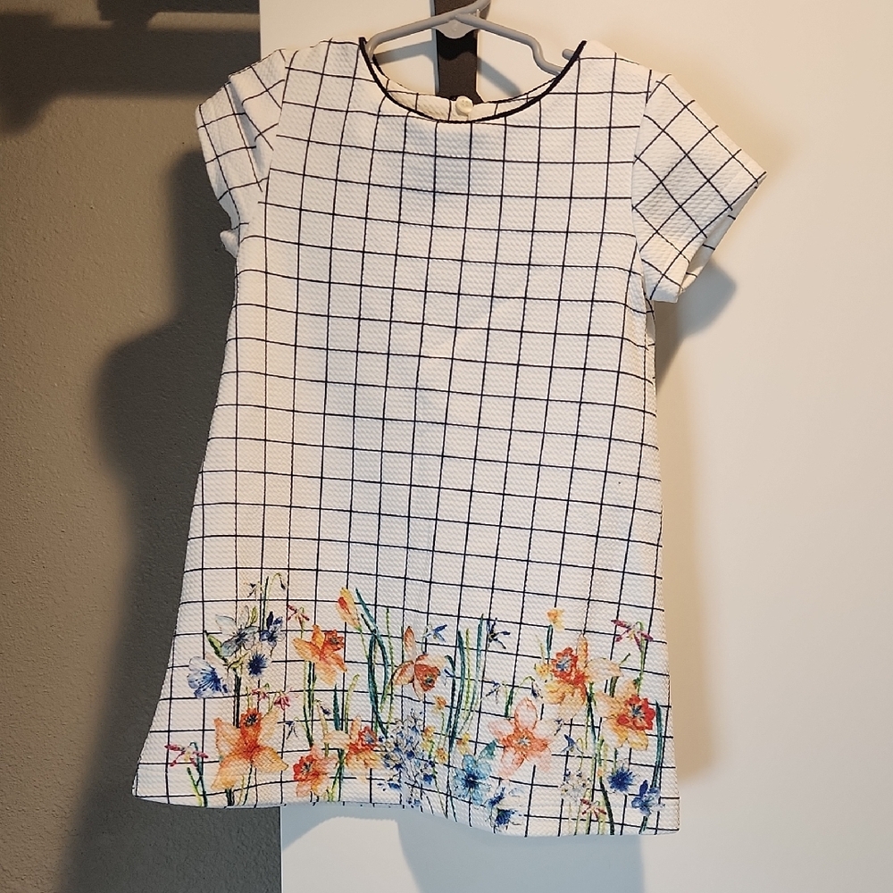 Next Girls Dress With Floral Embroidery